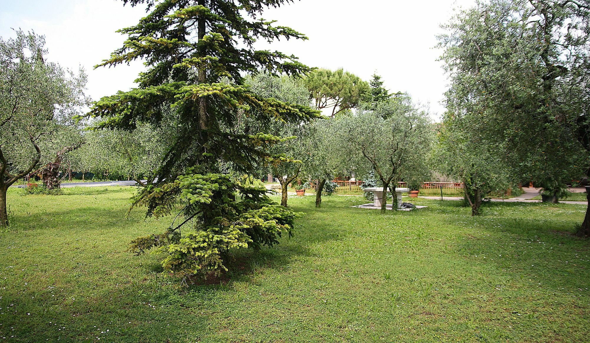 可乐San Giorgio Lazise Locazione Turistica住宿加早餐旅馆 外观 照片