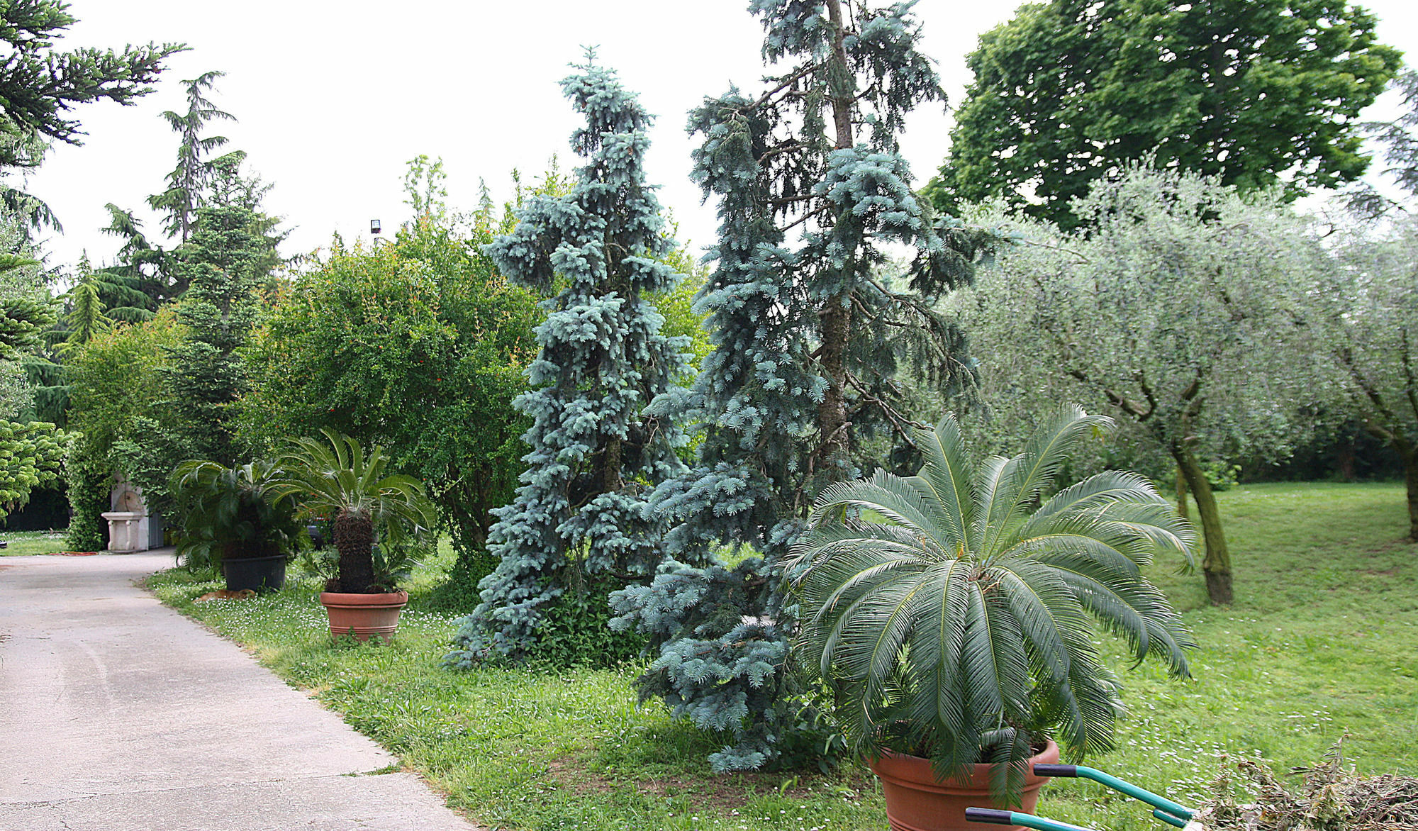 可乐San Giorgio Lazise Locazione Turistica住宿加早餐旅馆 外观 照片